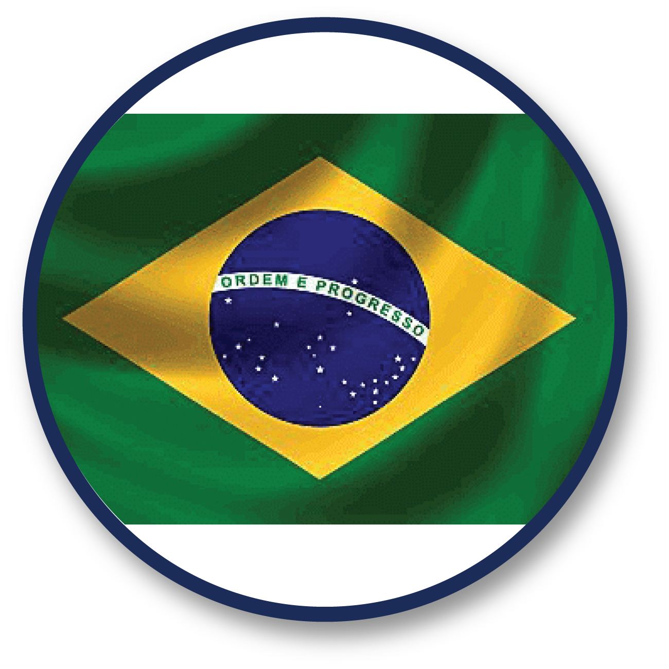 VFL in Brazil